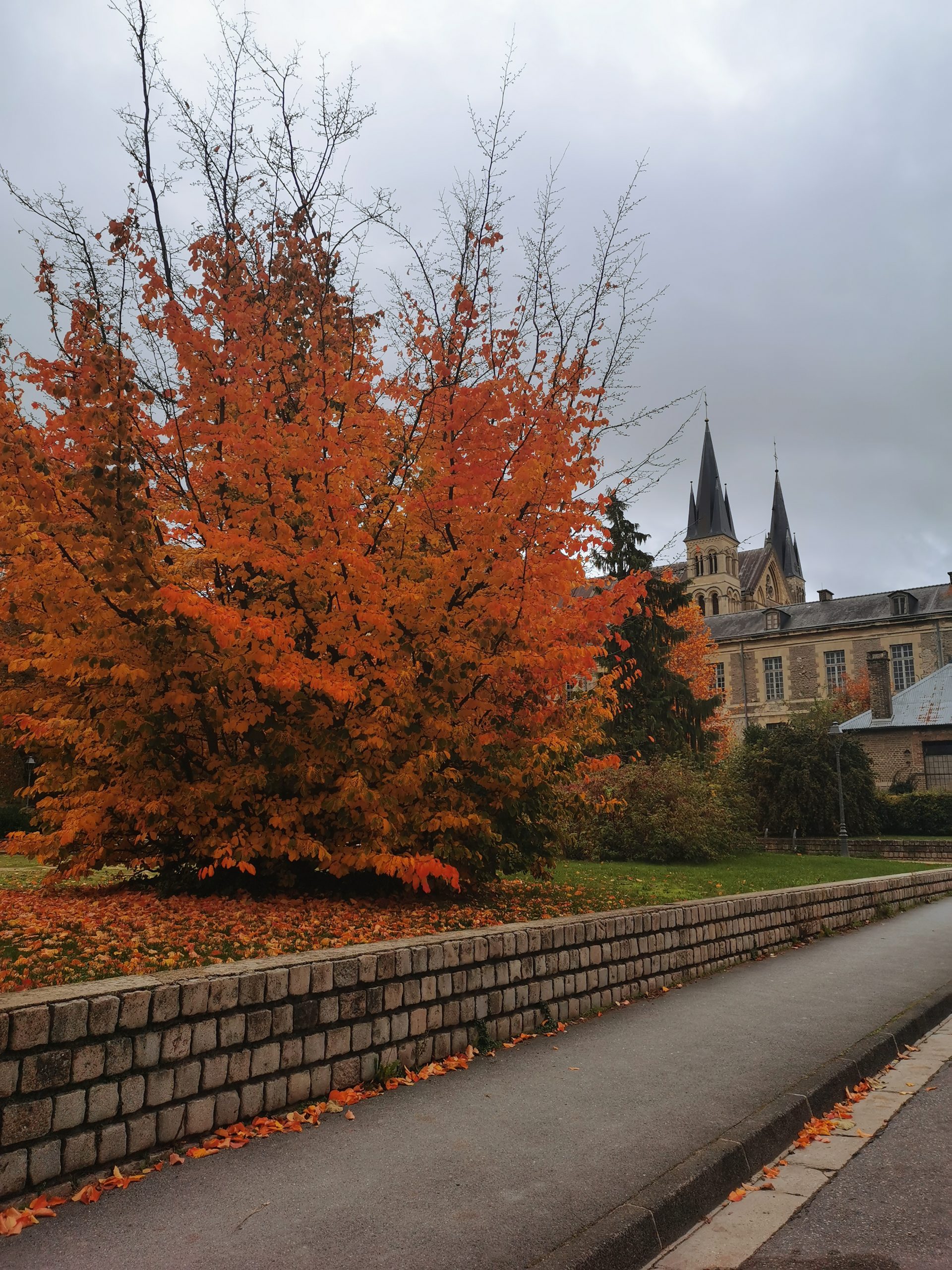 Vue sur la basilique Saint-Remy de Reims et son parc aux couleurs d'automne