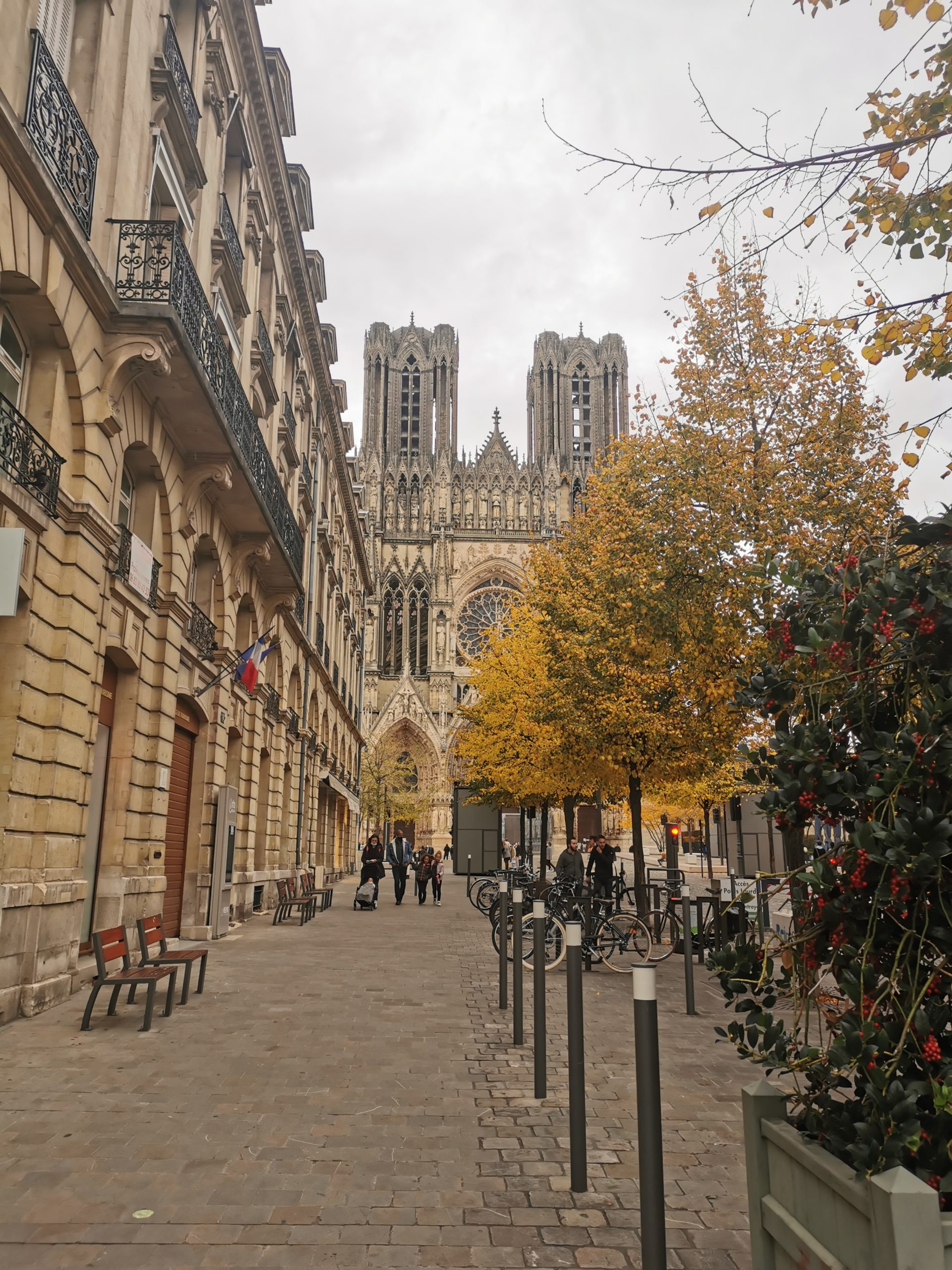 Vue sur la cathédrale de Reims et son allée d'arbre aux feuilles jaunes d'automne