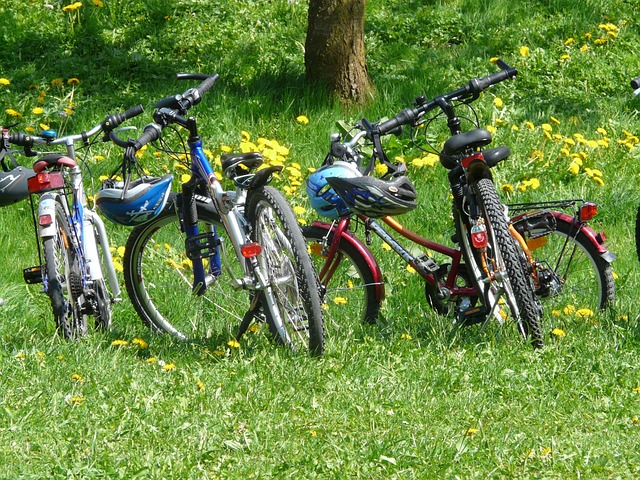 Famille en Vélo en France